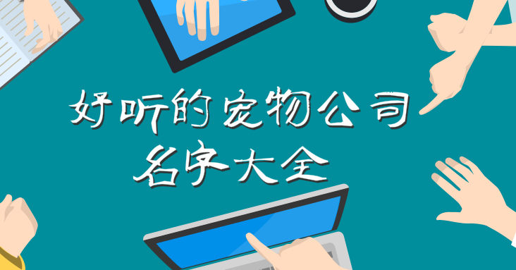 好听的宠物公司名字大全,高端好听有吸引力